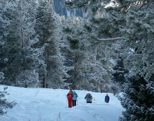 Бедный в горы не пойдёт?