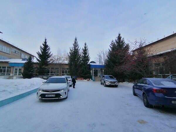 Ужасная рубка