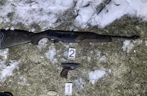 Украденные из алматинского оружейного магазина карабин и пистолет нашли в Таразе