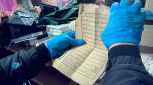 Экспертиза покажет