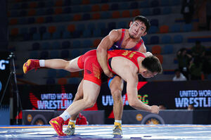 Каждой медали по паре