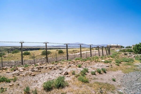 Ушли звериными тропами