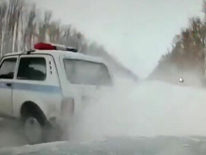 Виноват - и точка