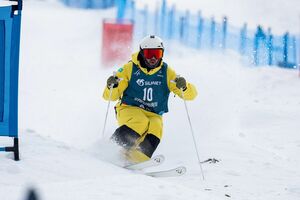 “Деревянная” медаль