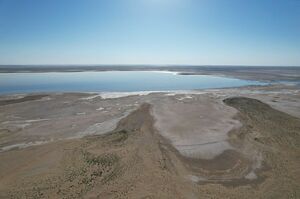 Спустили на тормозах