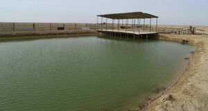 Осадки  для посадки