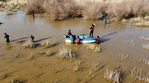 Ищут спасатели,  ищет полиция