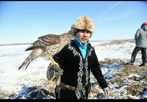 Зоркий взгляд, крепкий коготь