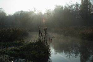 Страшная находка