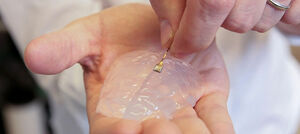 Чипирование мозгов Маску запретили