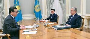 Токаев принял директора Института современных исследований