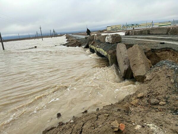 Хоть плачь, хоть вплавь