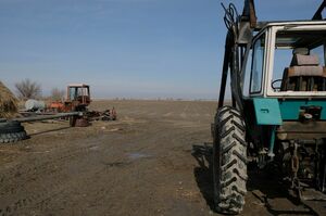 От рассвета до отката