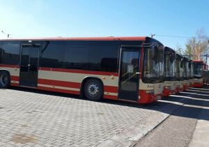 Автобус вам в подарок!