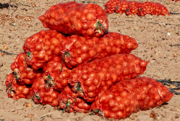 Запрет  как панацея?