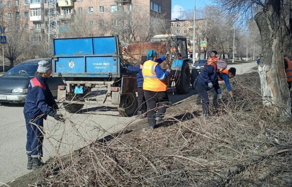 Берёзку жалко