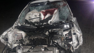 В результате наезда на лошадей пострадала пассажирка авто на трассе в области Жетысу