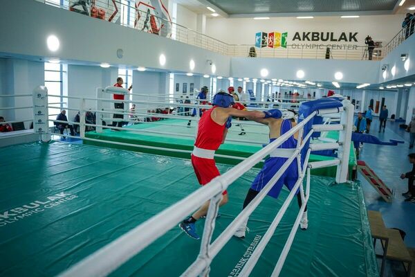 Подготовка к реваншу