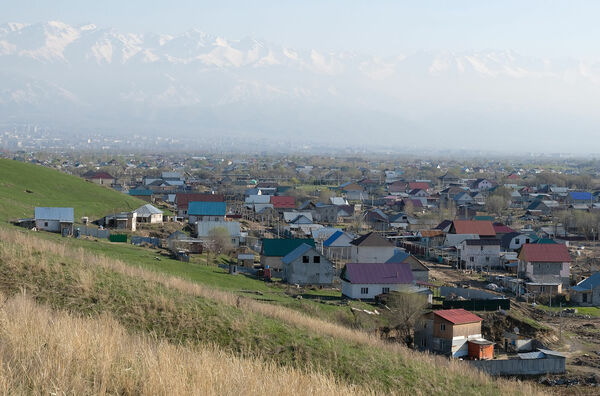 Что нам стоит  дом построить:  узаконим - будем жить