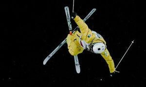 Трудовая медаль