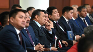 Новая регуляторная политика в отношении бизнеса внедряется в Казахстане