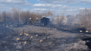 Более 100 дачных участков сгорели в Павлодаре