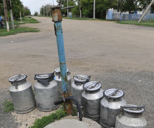 Проучили огородников