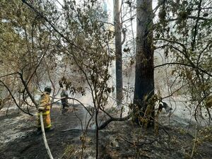 Токаев поручил Ильину выехать на место пожара в область Абай, сообщается о троих погибших
