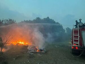 В Семее из-за крупного лесного пожара ввели режим ЧС