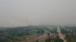 Площадь лесного пожара в области Абай превысила 60 тыс. га