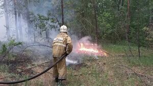 Большая часть очагов пожара в области Абай локализована