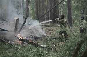 Президент о пожаре в области Абай: МЧС дало неправильный прогноз по масштабу бедствия