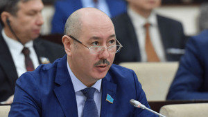 Нурлан Кылышбаев уволился с поста главы комитета лесного хозяйства и животного мира