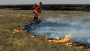 2 тыс. га природного пожара тушат в области Улытау
