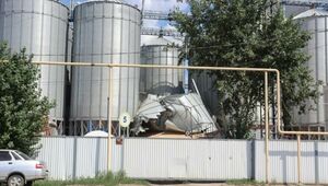Около 1 тыс. тонн зерна высыпалось после разрыва зернохранилища ударом молнии в Костанае
