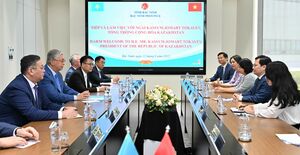 Токаев провел встречу с главой делегации депутатов Нацсобрания провинции Бакнинь