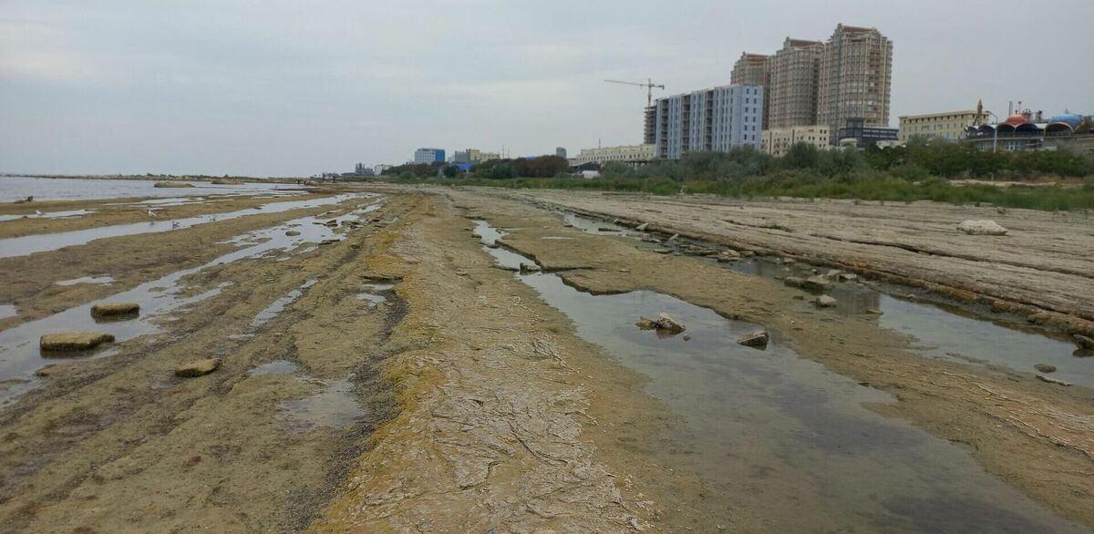 Ветер с моря дул, нагонял песку...