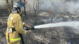 Лесной пожар ликвидирован в Наурзумском заповеднике Костанайской области