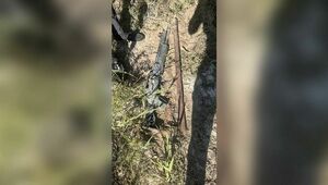 В области Жетысу продолжают находить похищенное во время январских событий оружие