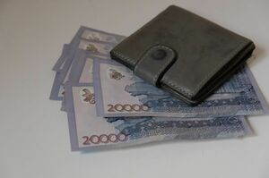 Минимальная зарплата вырастет с нового года в Казахстане