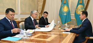 Глава государства принял председателя правления АО «НК «QazaqGaz» Санжара Жаркешова