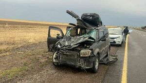 Пассажир погиб в результате столкновения легковушки с лошадью в Жетысу