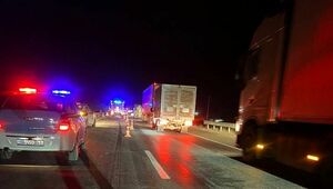 Выбежавшая на трассу корова спровоцировала массовое ДТП в Туркестанской области