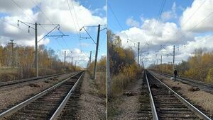 20 овец попали под грузовой поезд в Северо-Казахстанской области