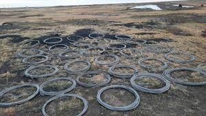 Кражу почти 6 км проводов с ЛЭП вменяют бывшему электрику в Павлодарской области