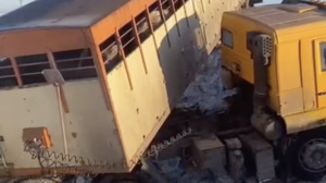 КамАЗ и 26 коров слетели с трассы в Костанайской области