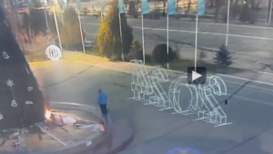В Таразе умышленно подожгли главную новогоднюю елку