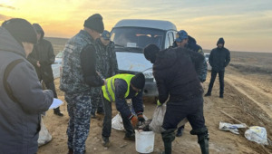 Более 440 кг рыбы погибло на канале в Атырауской области