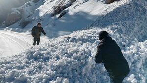 Сошедшие близ обсерватории Асы лавины перекрыли дорогу в Алматинской области