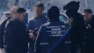 Более 10 человек задержаны по делу о наркобизнесе в Жамбылской области